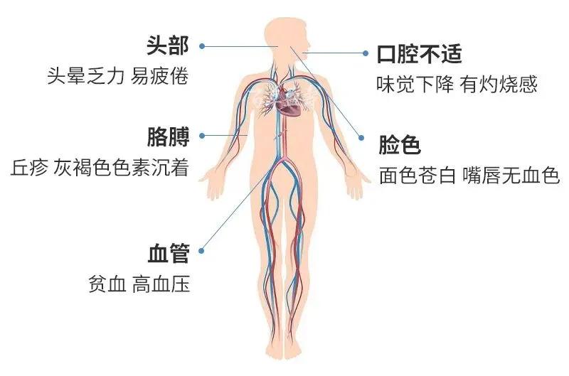 心脑血管病补充叶酸,预防心脑血管疾病补充叶酸量