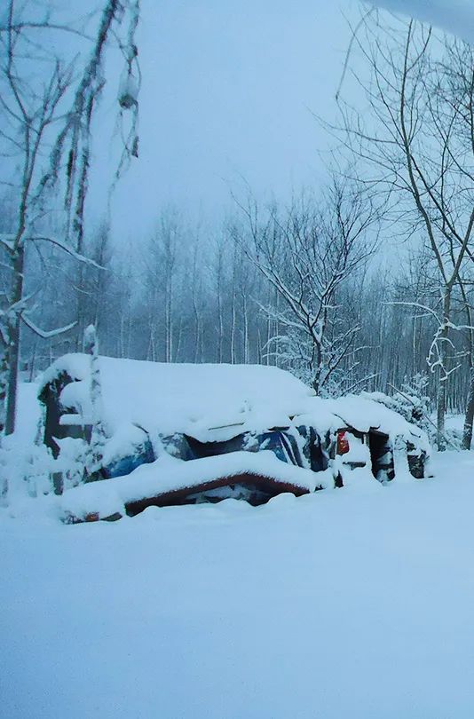 一年中最有智慧的节气图片,365天最美24节气图诞生惊艳国人