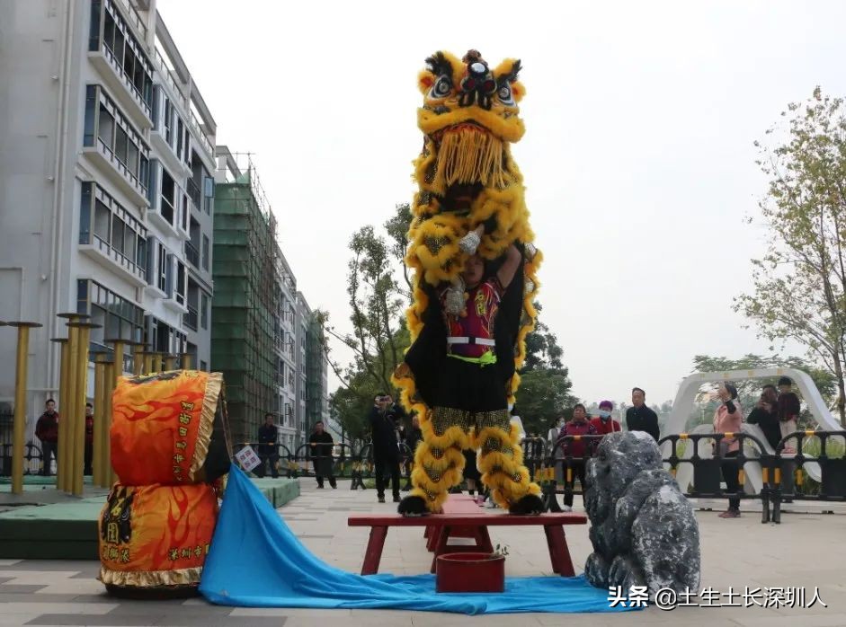 醒狮和瑞狮的区别在哪,醒狮的运动特点