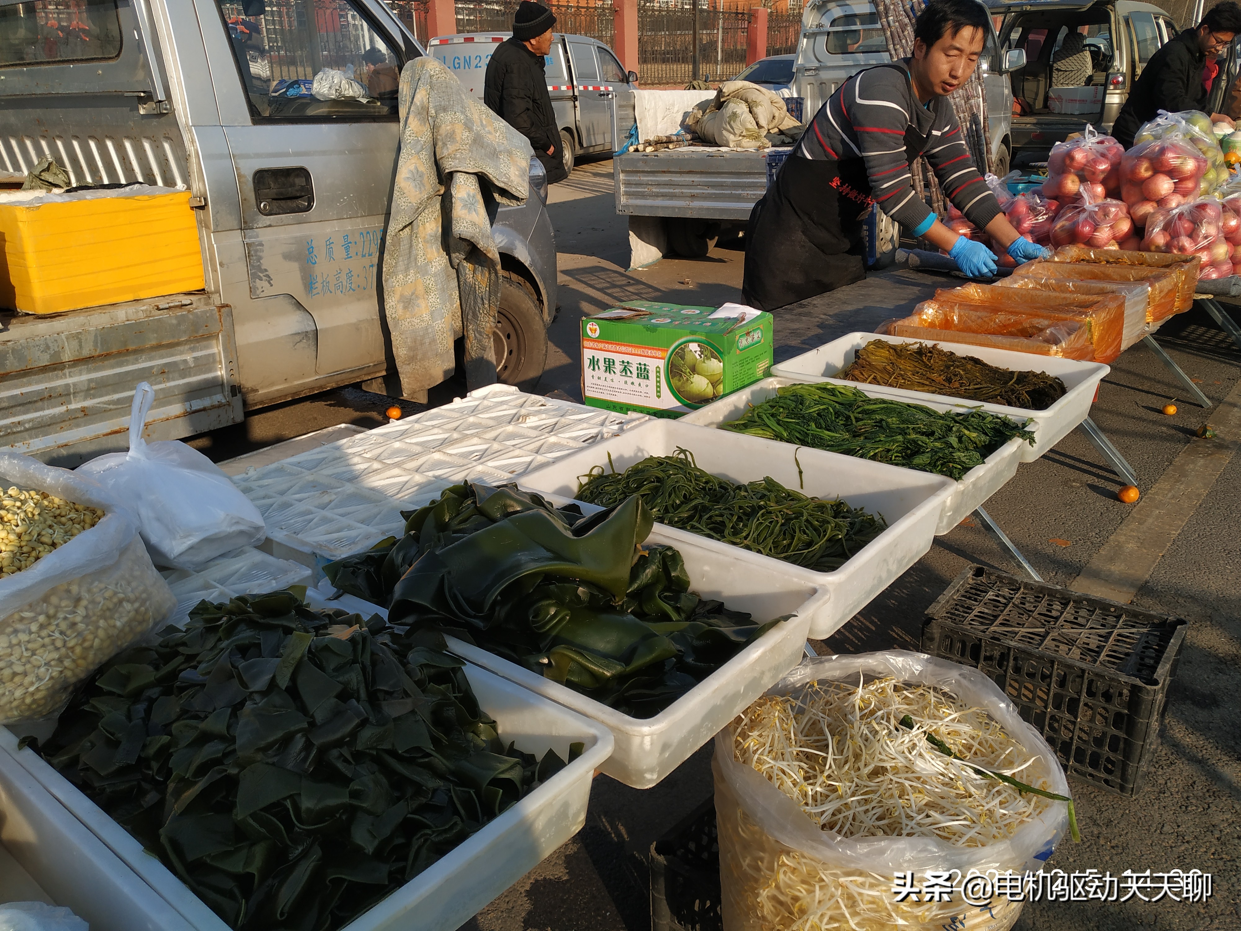 窦店田家园大集什么时间开放,房山窦店田家园大集现在开了吗