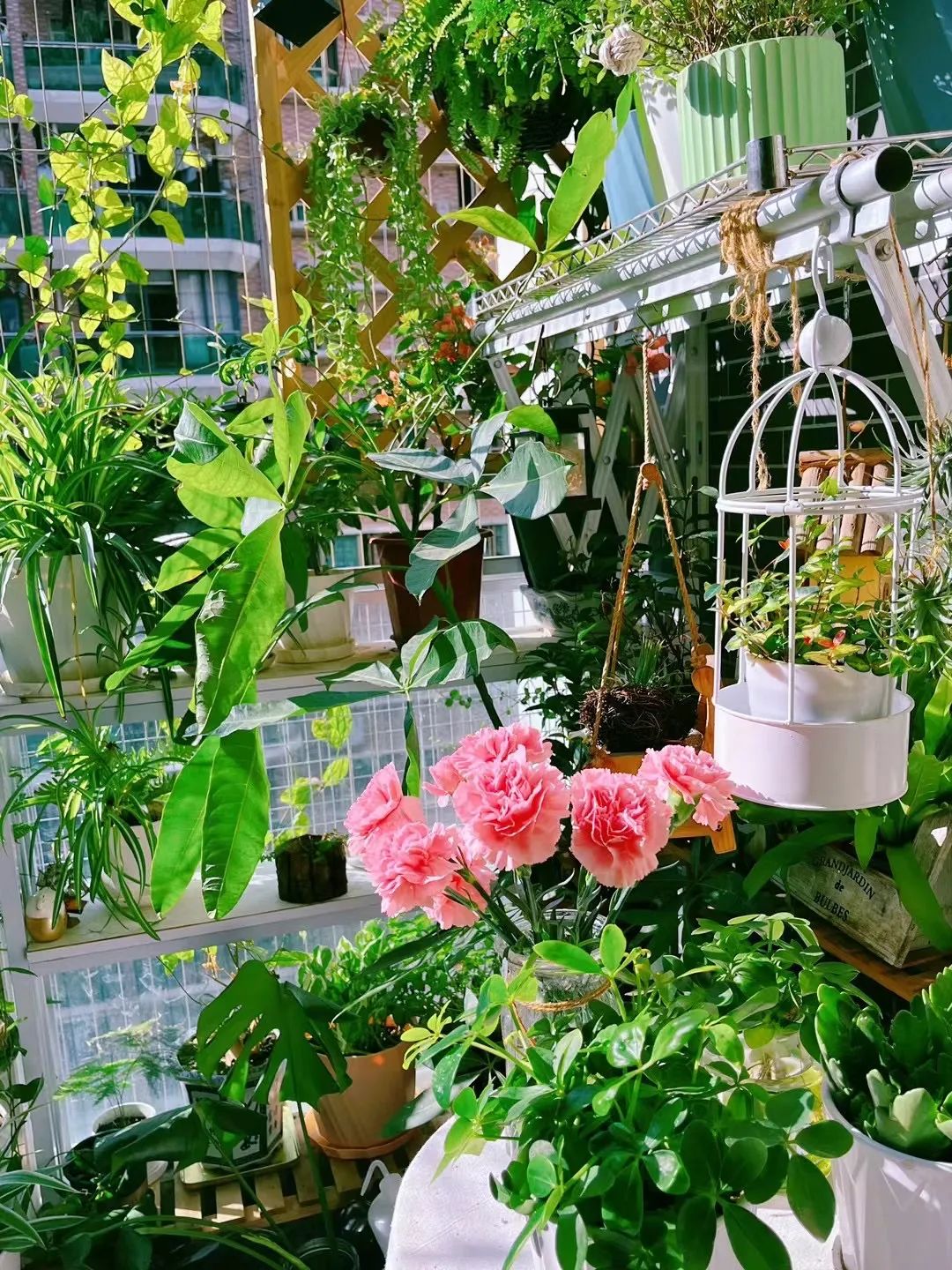 很多人羡慕的阳台,让别人羡慕的阳台