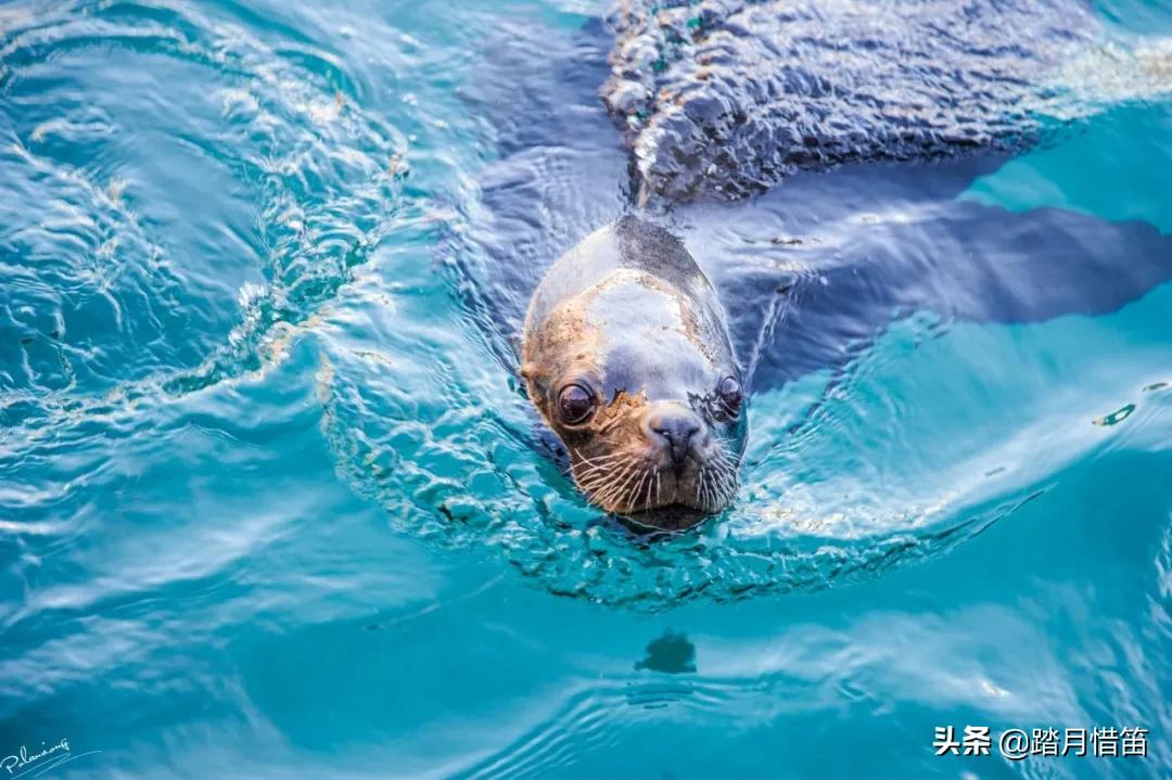 十大aaaaa级景区旅游攻略,最新最全的全国aaaaa景区