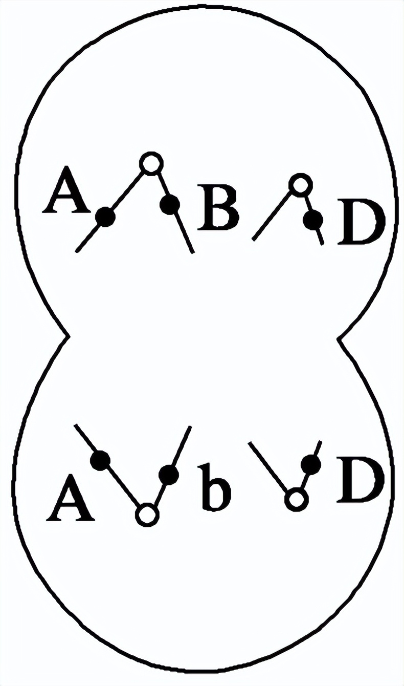 高中生物变异和育种知识点,高中生物变异育种进化思维导图