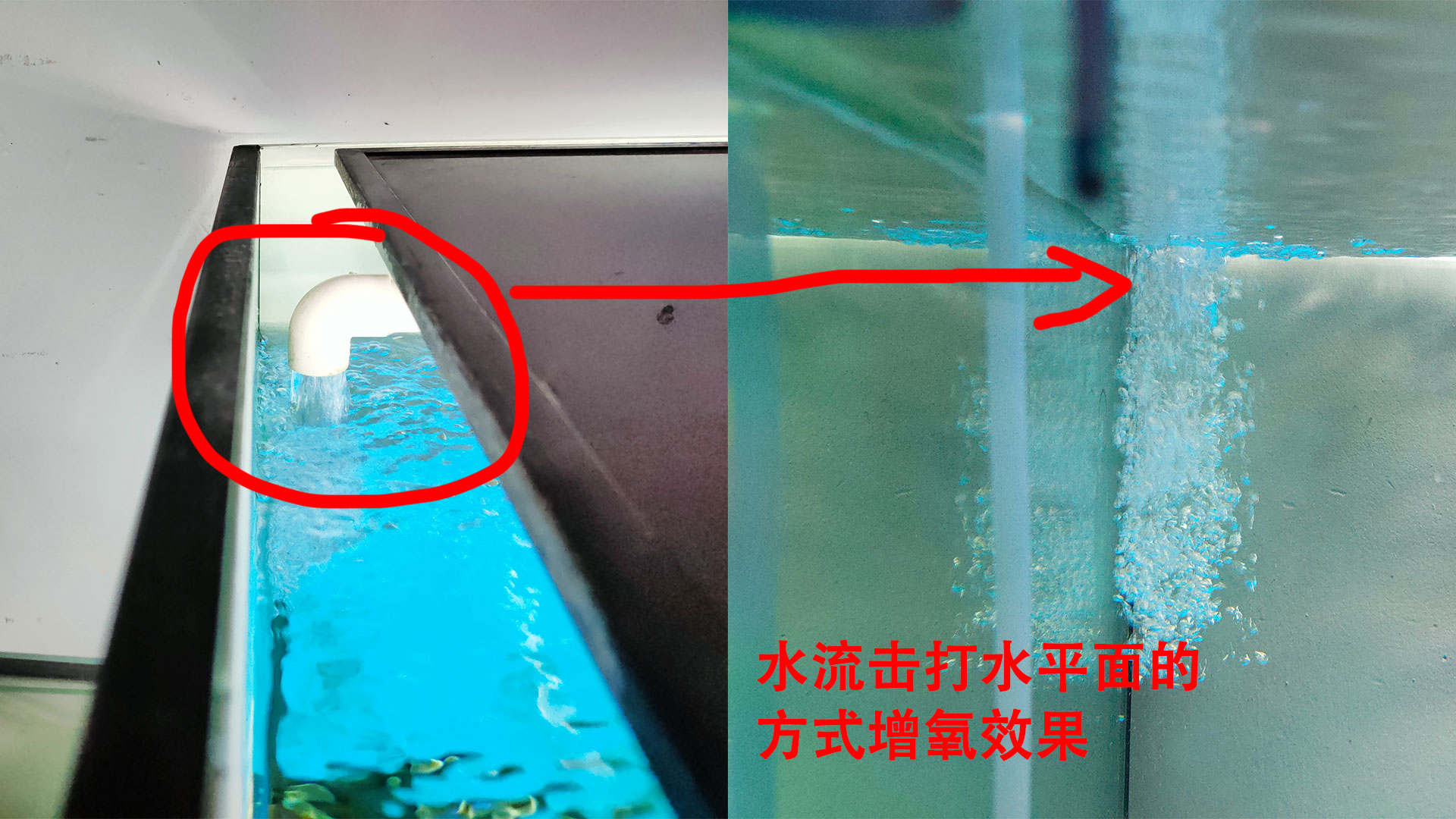鱼缸出水口怎么既能出水又能增氧,制作鱼缸出水口增氧炮视频