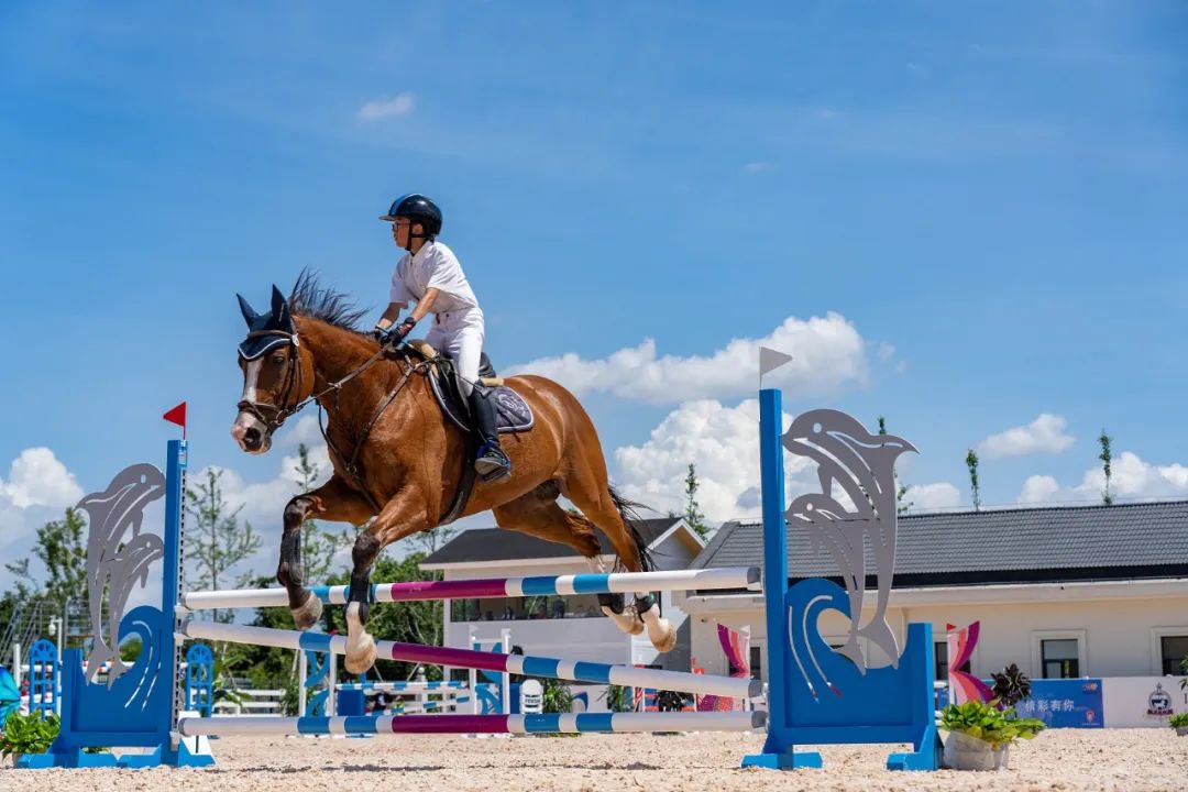 学马术花了200万,学马术需要很多钱吗