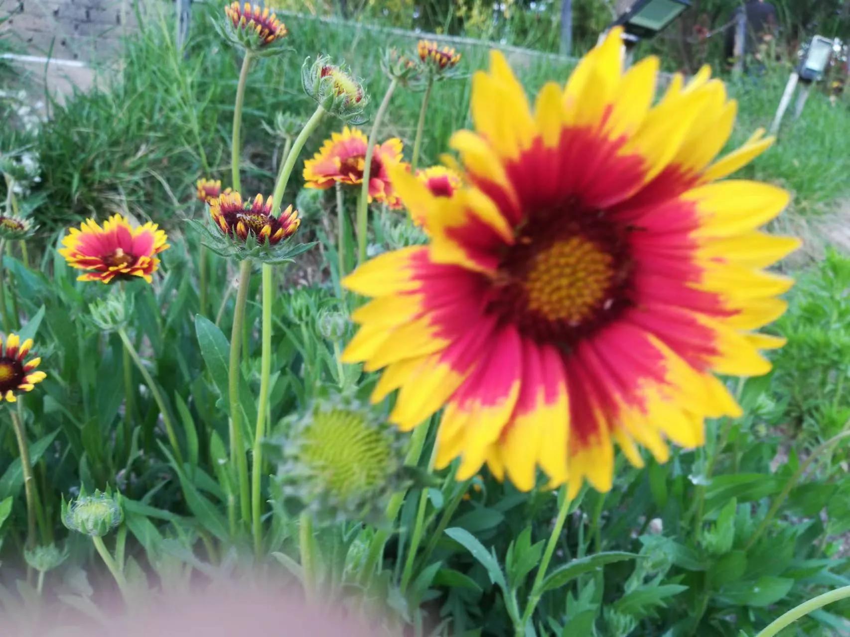 00后小伙开脱单便利店,90后小伙创业开超市