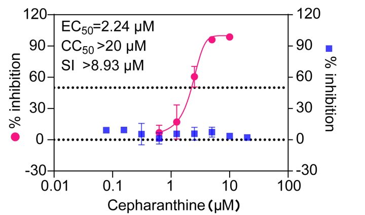 千金藤素怎么抑制新冠病毒,千金藤素抗新冠效果论文