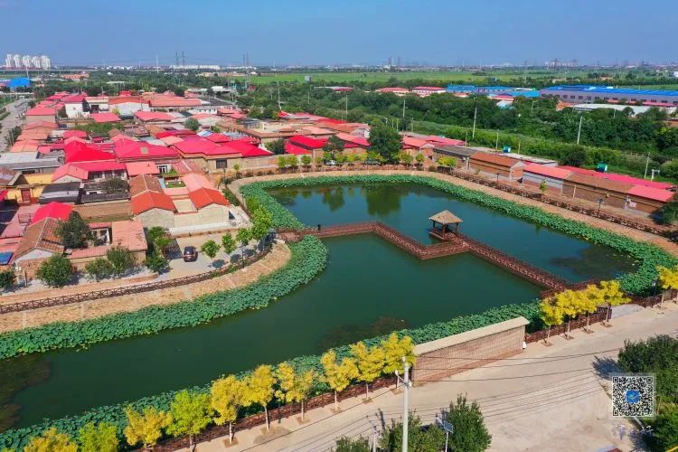 创文后家乡的变化,津南区创文成功了么