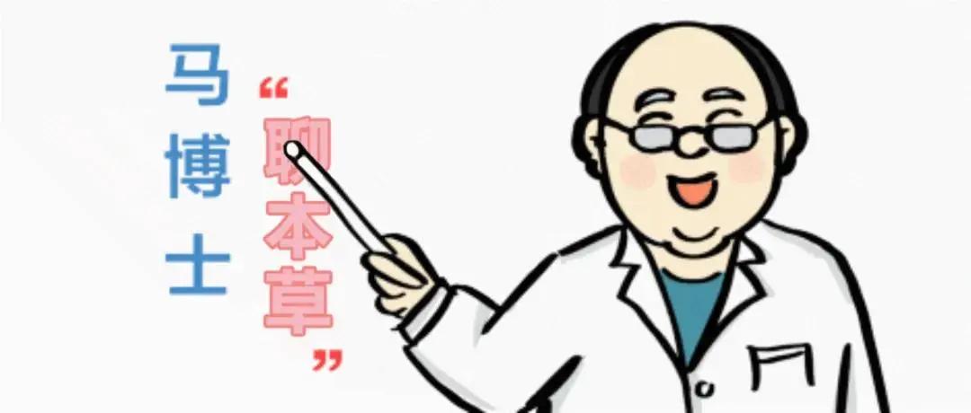 新鲜山药滋补养生,山药养生必备