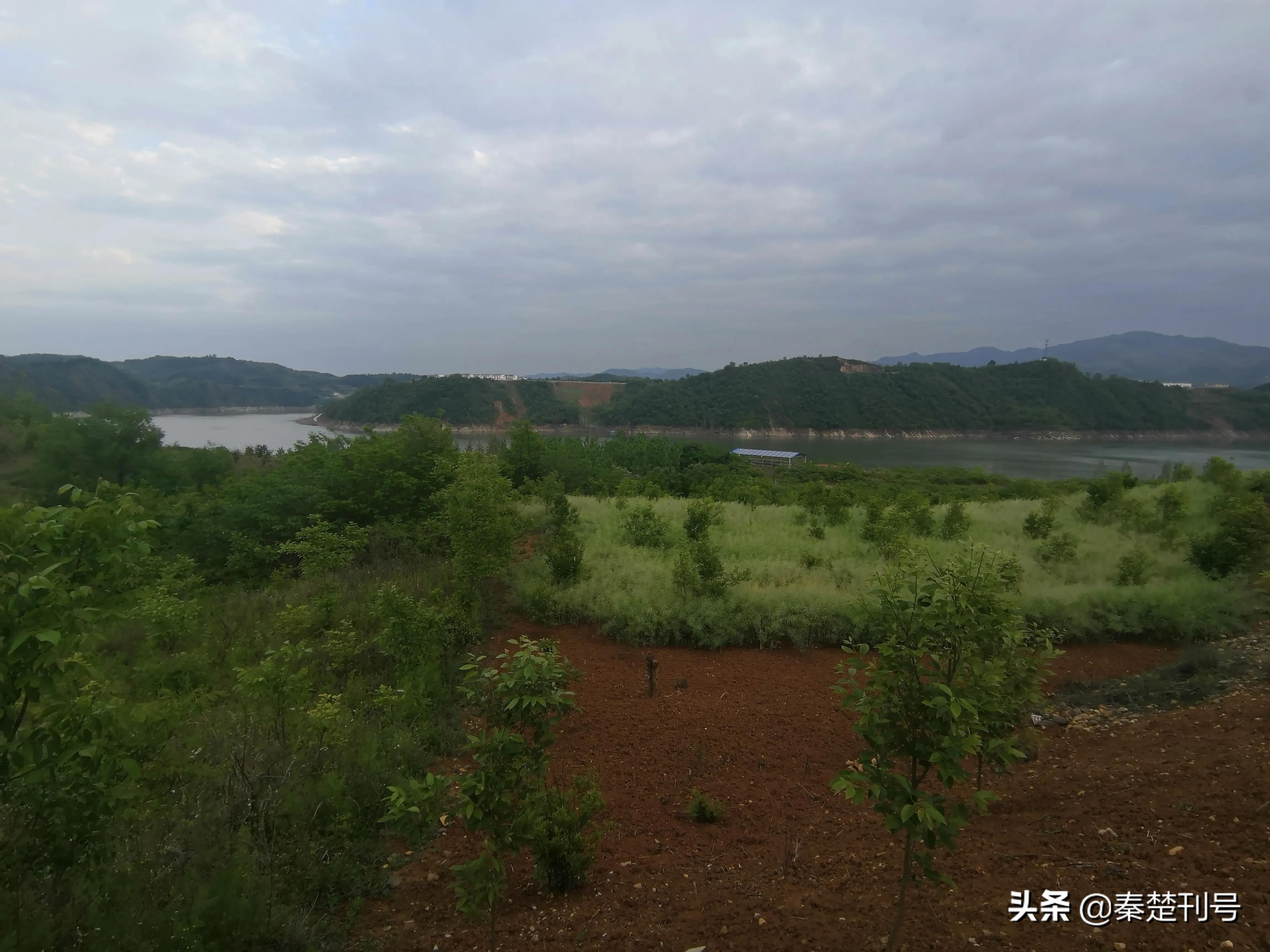 郧阳青曲弥陀寺抖音视频,青曲弥陀寺地址