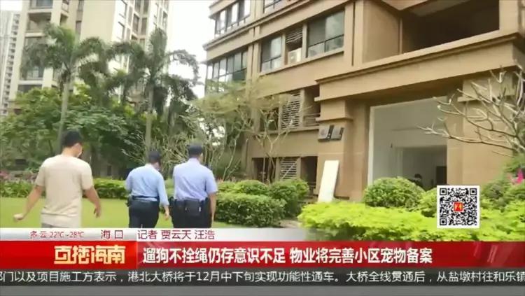 路人遇女子遛狗不拴绳直接报警,女子遛狗不拴绳吓到路人