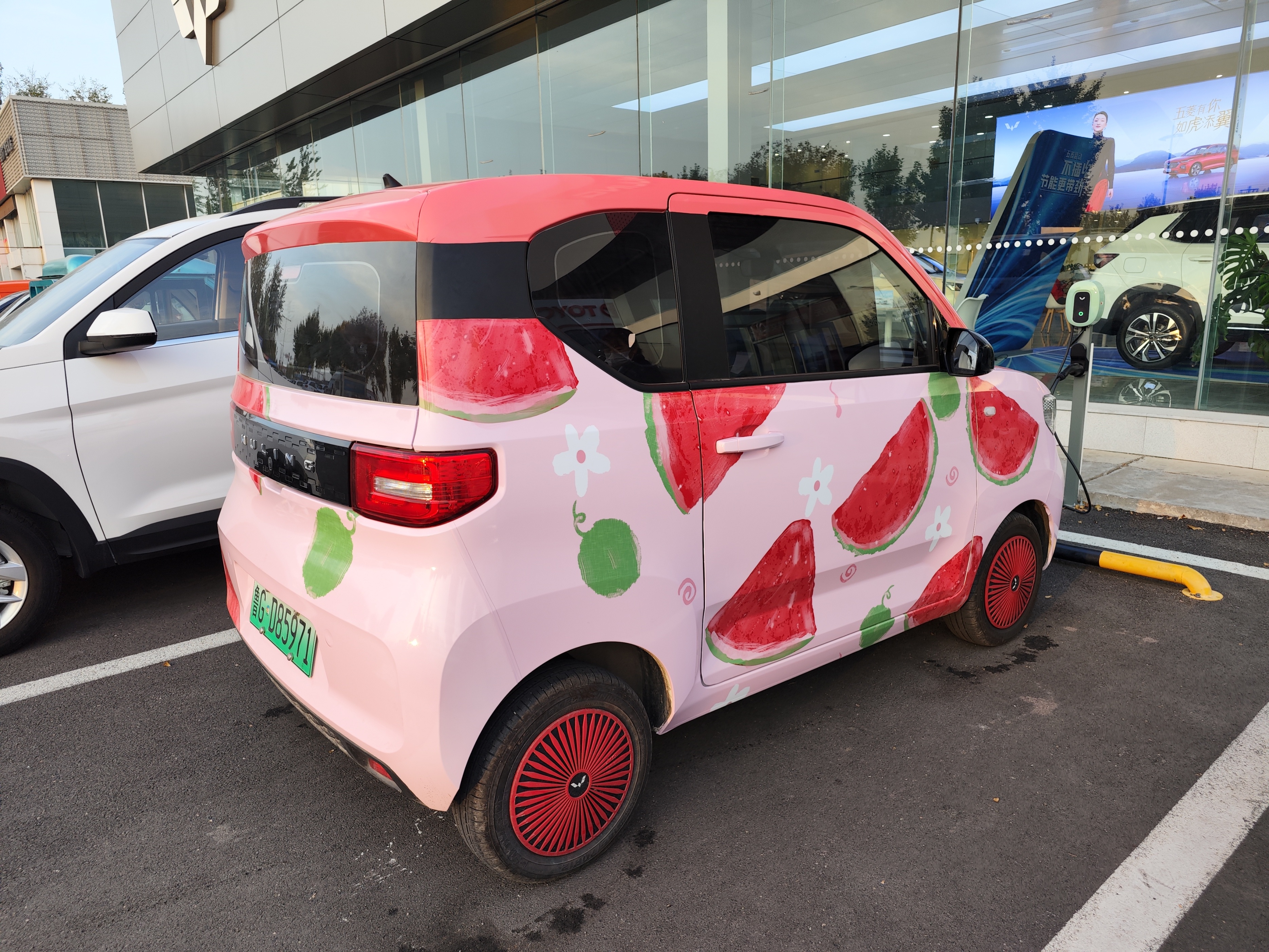 甜酷萌宠有谁不喜欢呢？——跟随马卡龙车主探店GAMEBOY