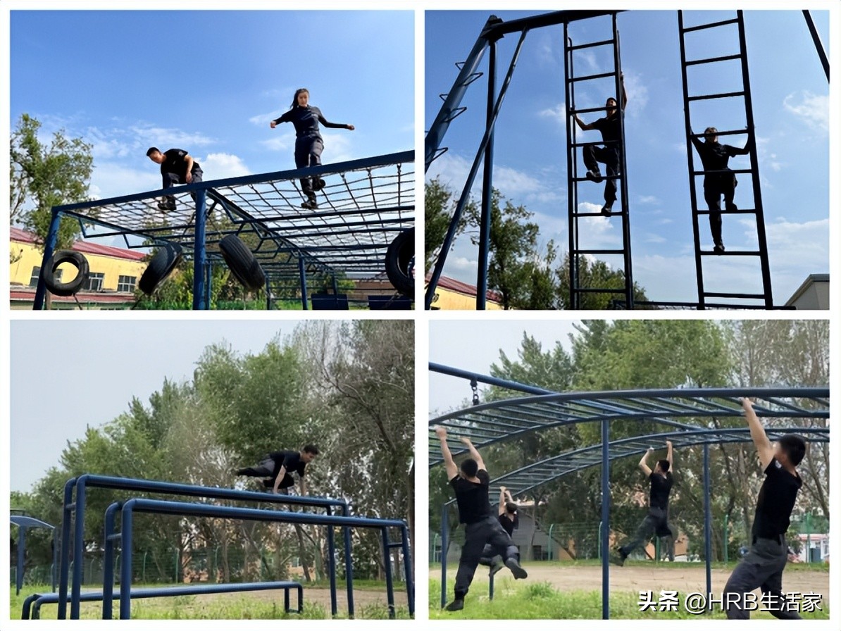 夏季治安打击整治百日行动重要性,夏季治安打击整治百日行动战果