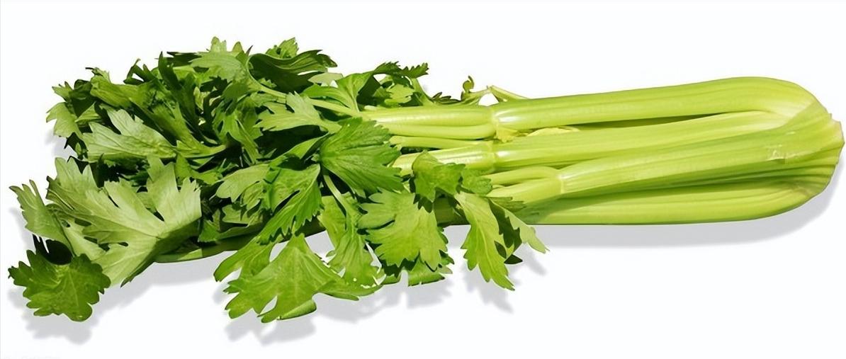 怎么区分各种蔬菜,各种蔬菜的识别