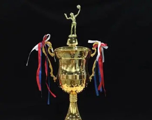 中国男排朱刚视频,男排朱刚的遗孀