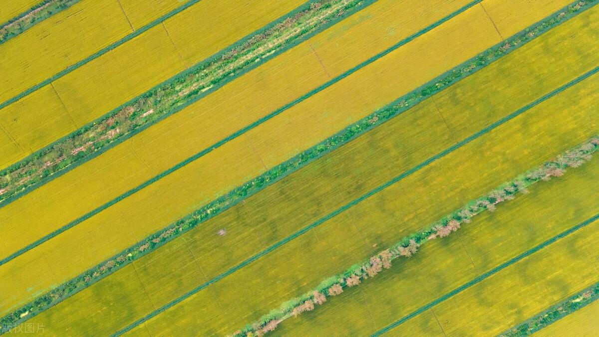 江苏唯一有山的城市,中国海拔最高的风景区