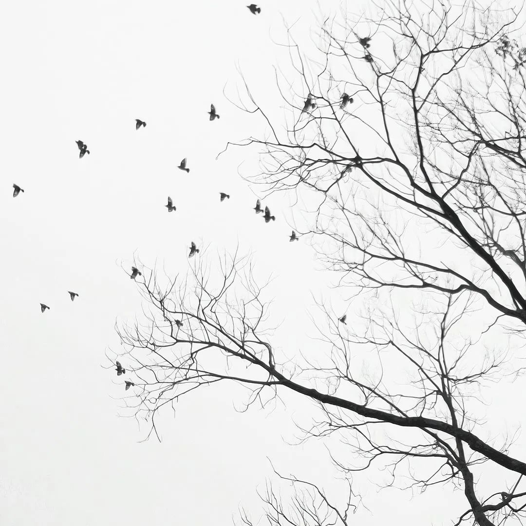 朋友圈背景图视频,朋友圈背景图怎么设置动态视频