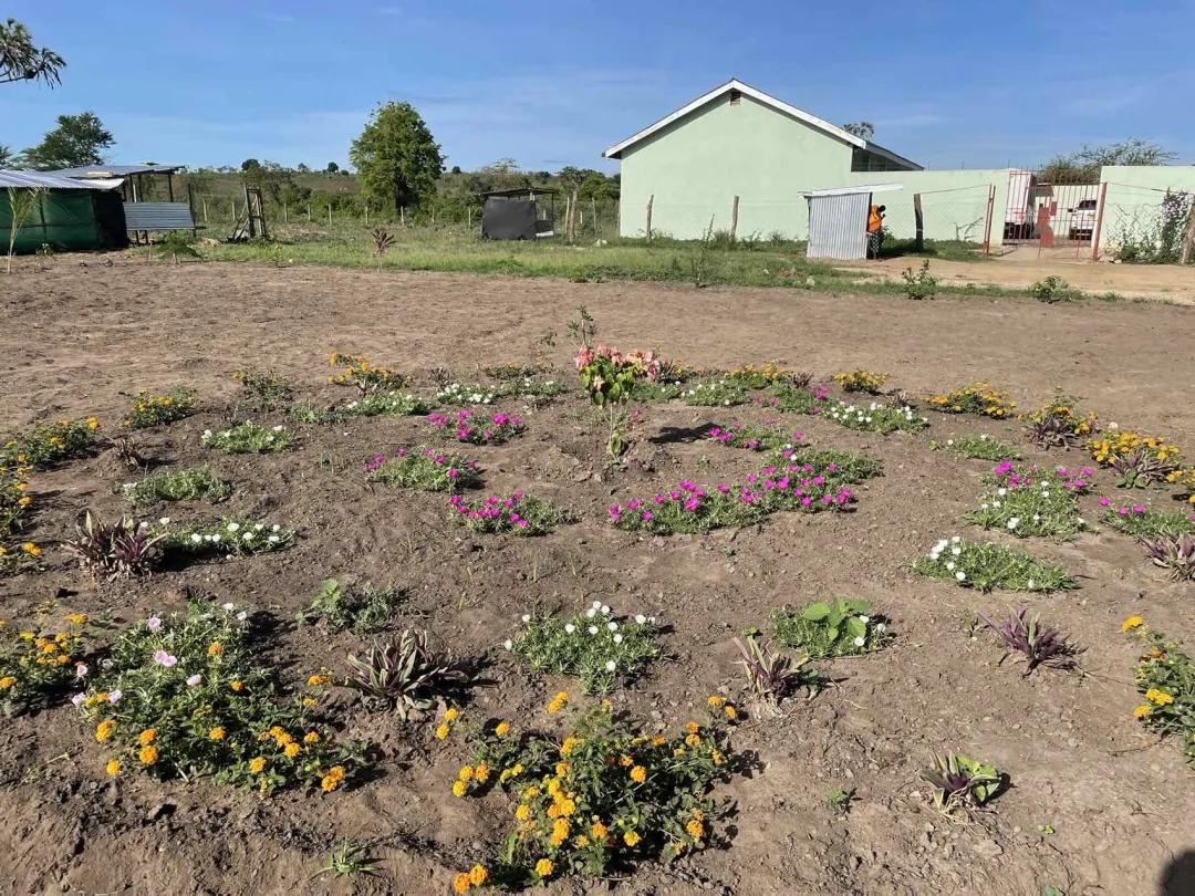 老汤创业,老汤生活记录