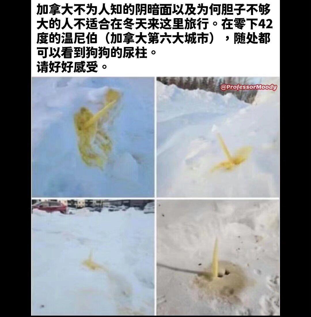 “易孕体质是种什么样的感受？”哇哈哈哈哈太真实了: