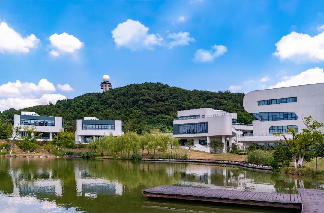 蹄疾步稳推进改革,全面发力蹄疾步稳