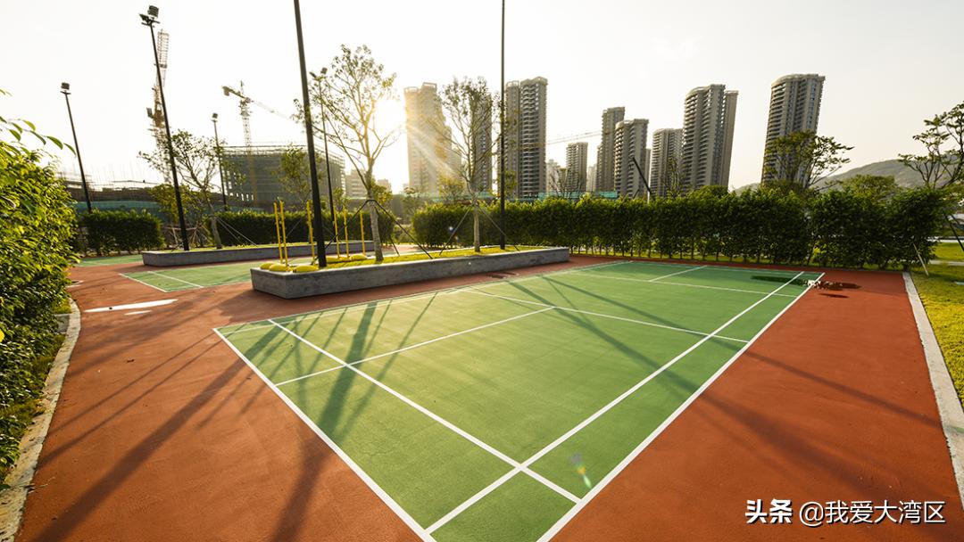 珠海春游赏花,珠海周边踏青景点