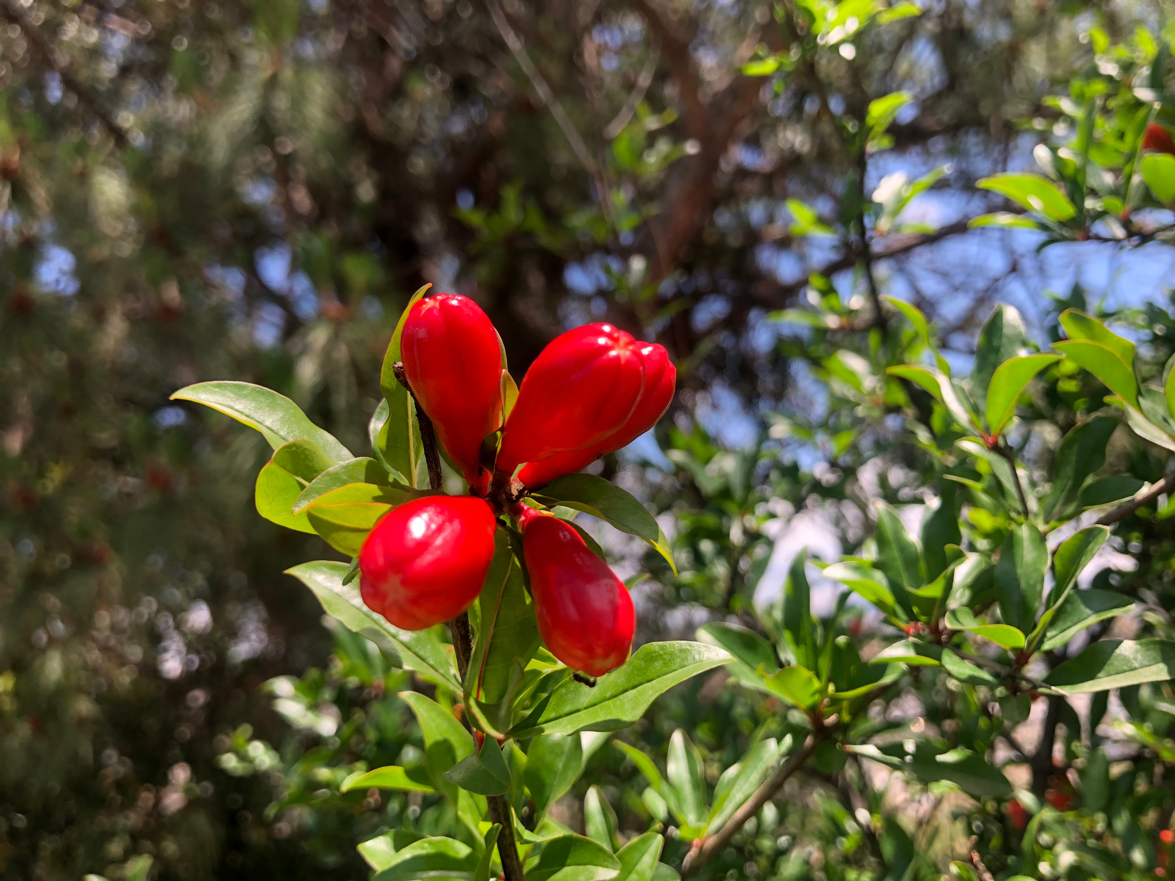 一篇原创文章阅读量30万收益2000,一篇文章2万阅读量收益多少