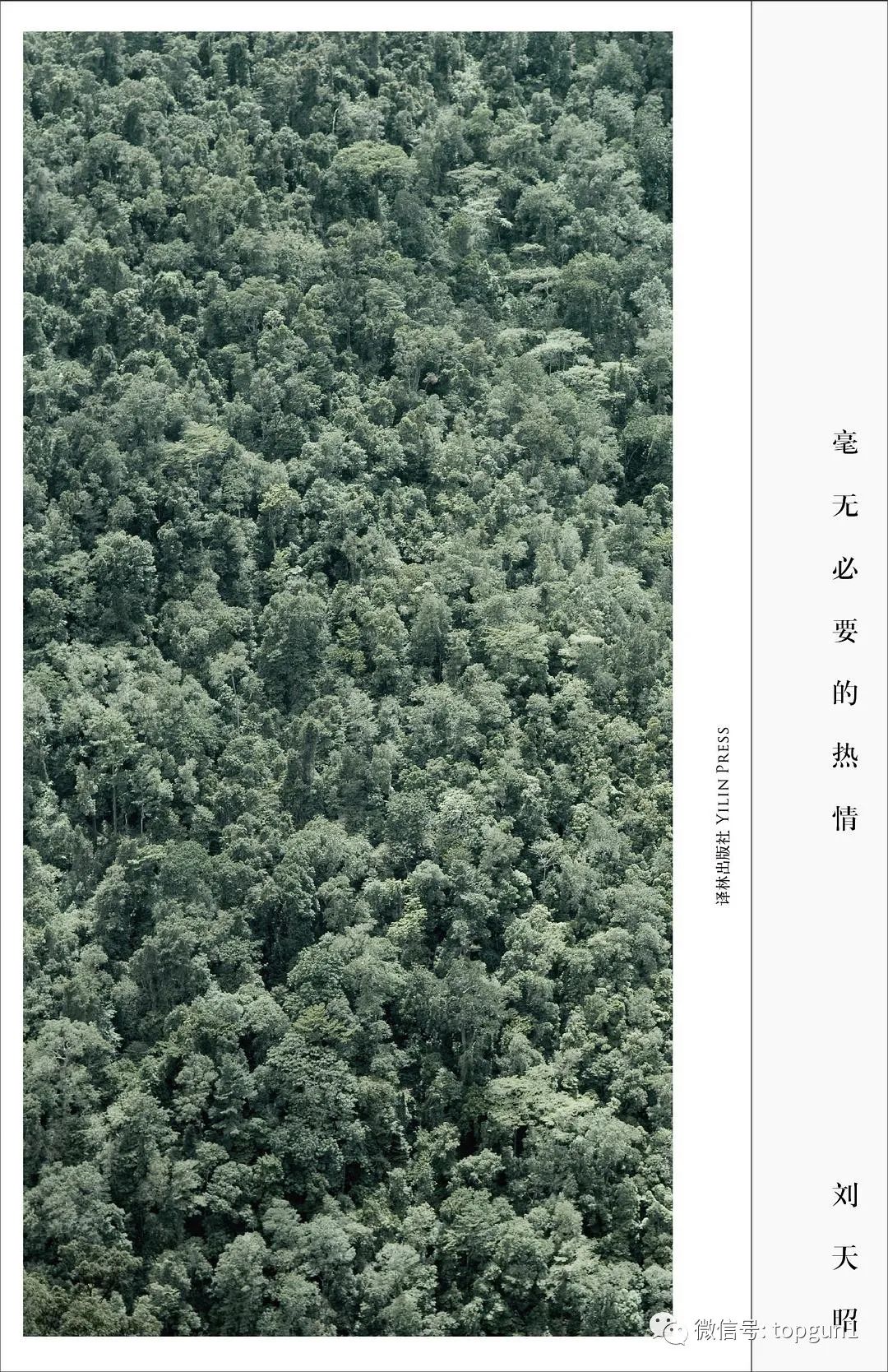 5月读书节的来历,5月读书活动主题