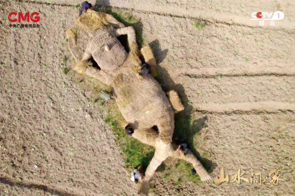 纪录片山水之间之柿饼之乡,探访柿饼制作工厂和传统农家