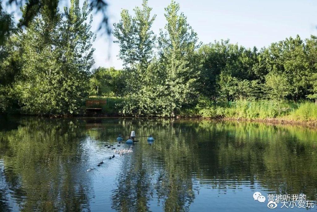 北京适合孩子玩的农场,一年四季都可以去的亲子农场