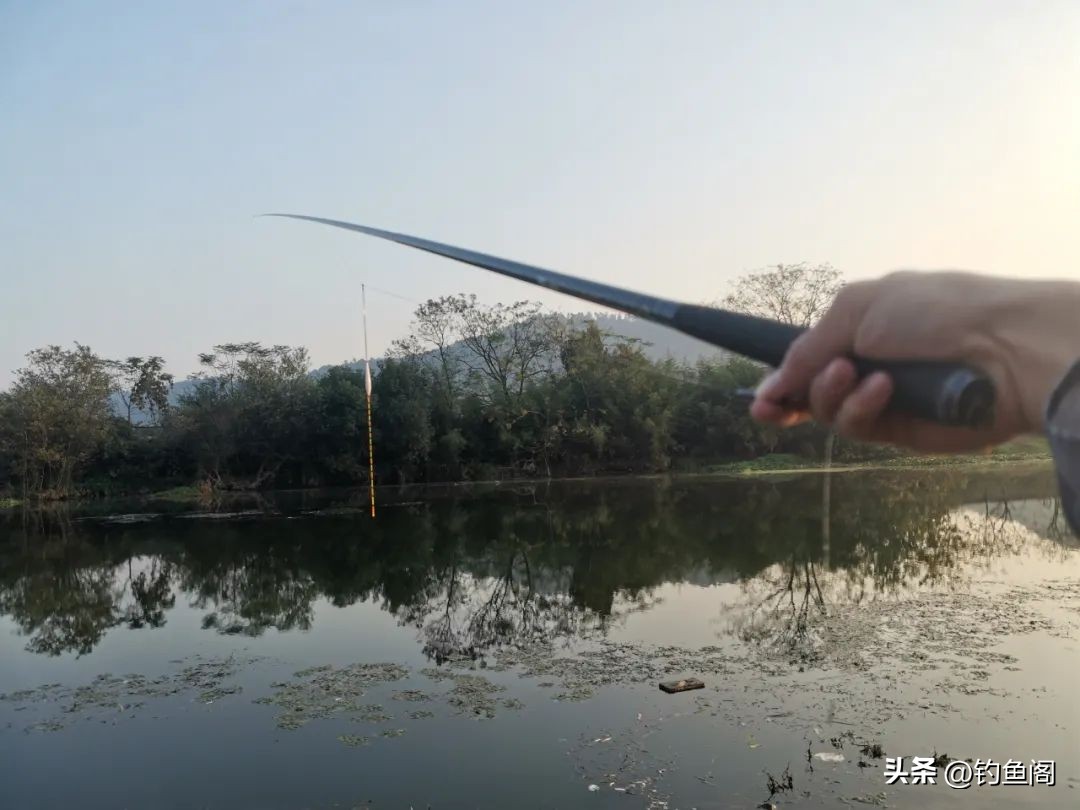 最全鱼线知识大全,鱼线知识新手