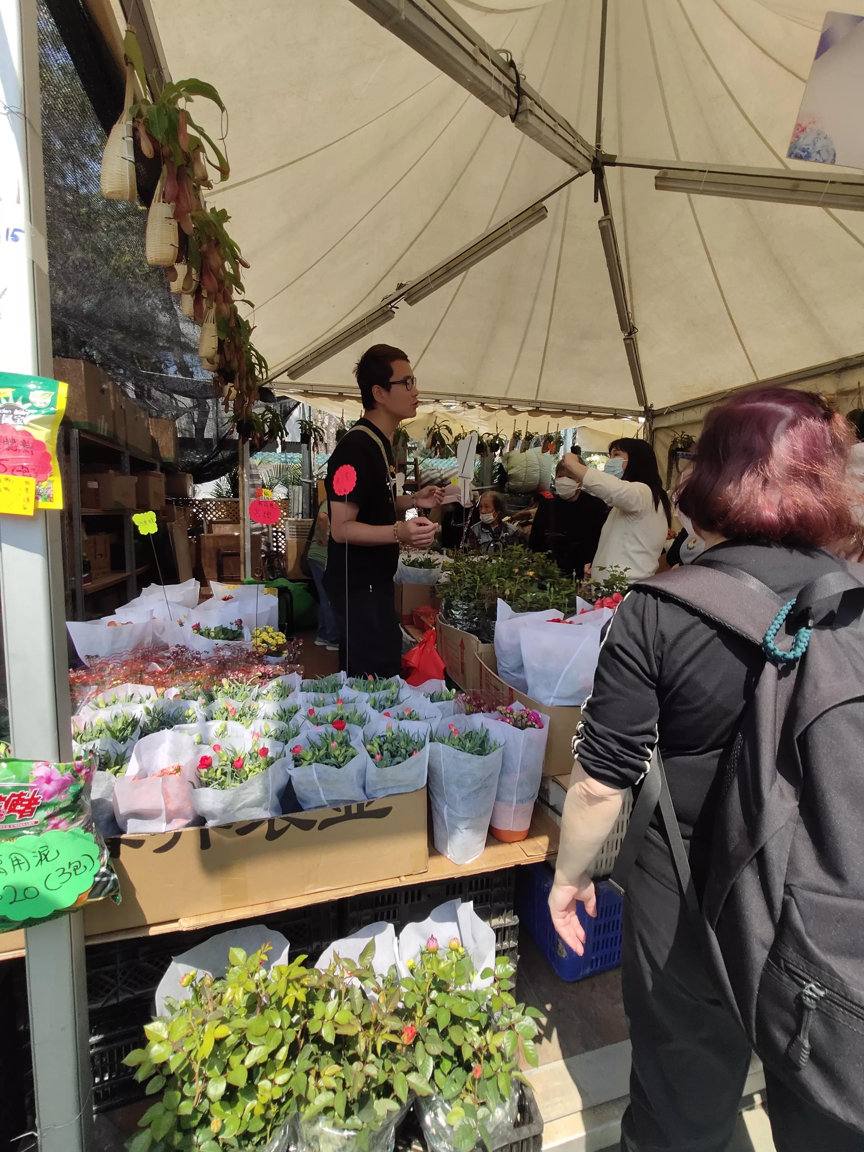 香港参观,参观花展感悟