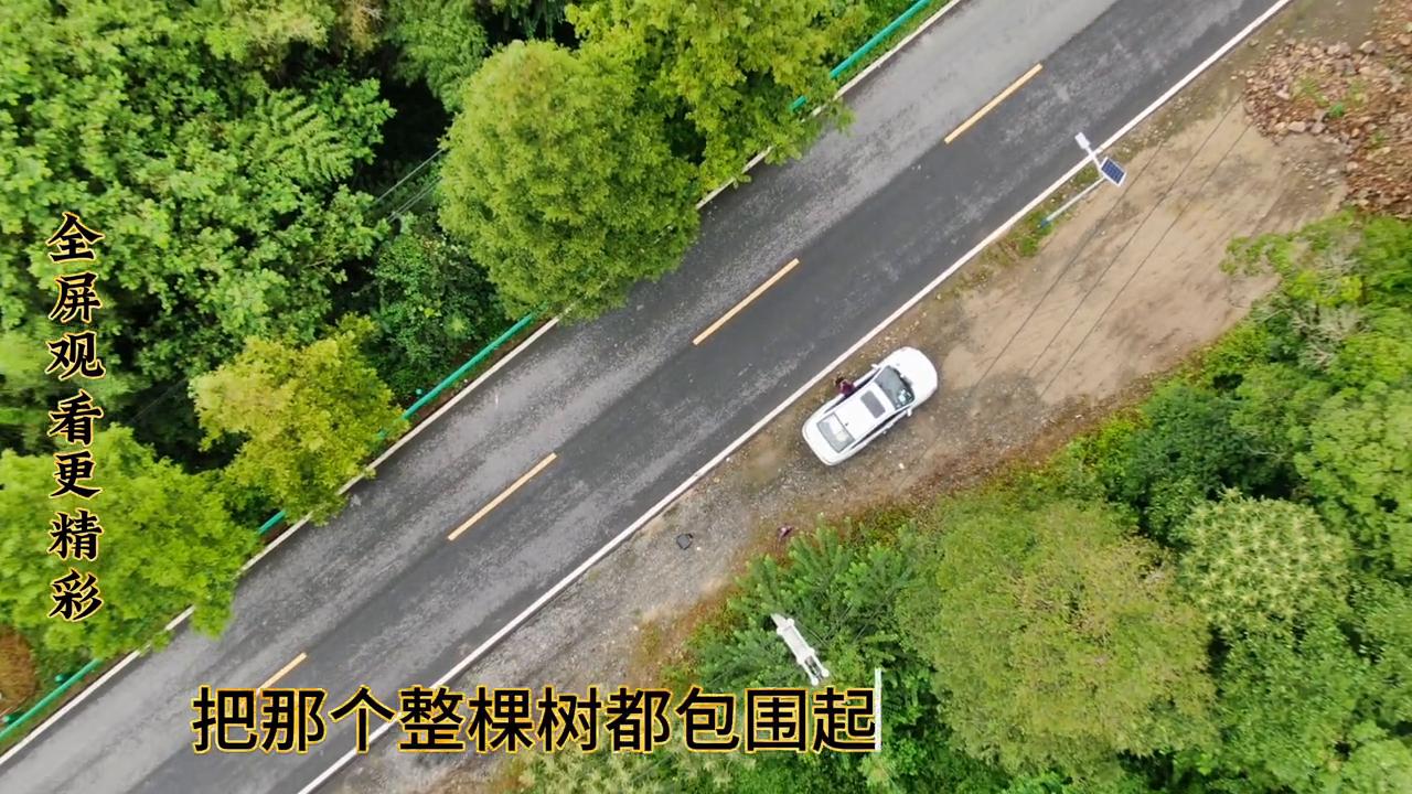 无人机不会操作会不会飞丢,无人机起飞后会偏移怎么办