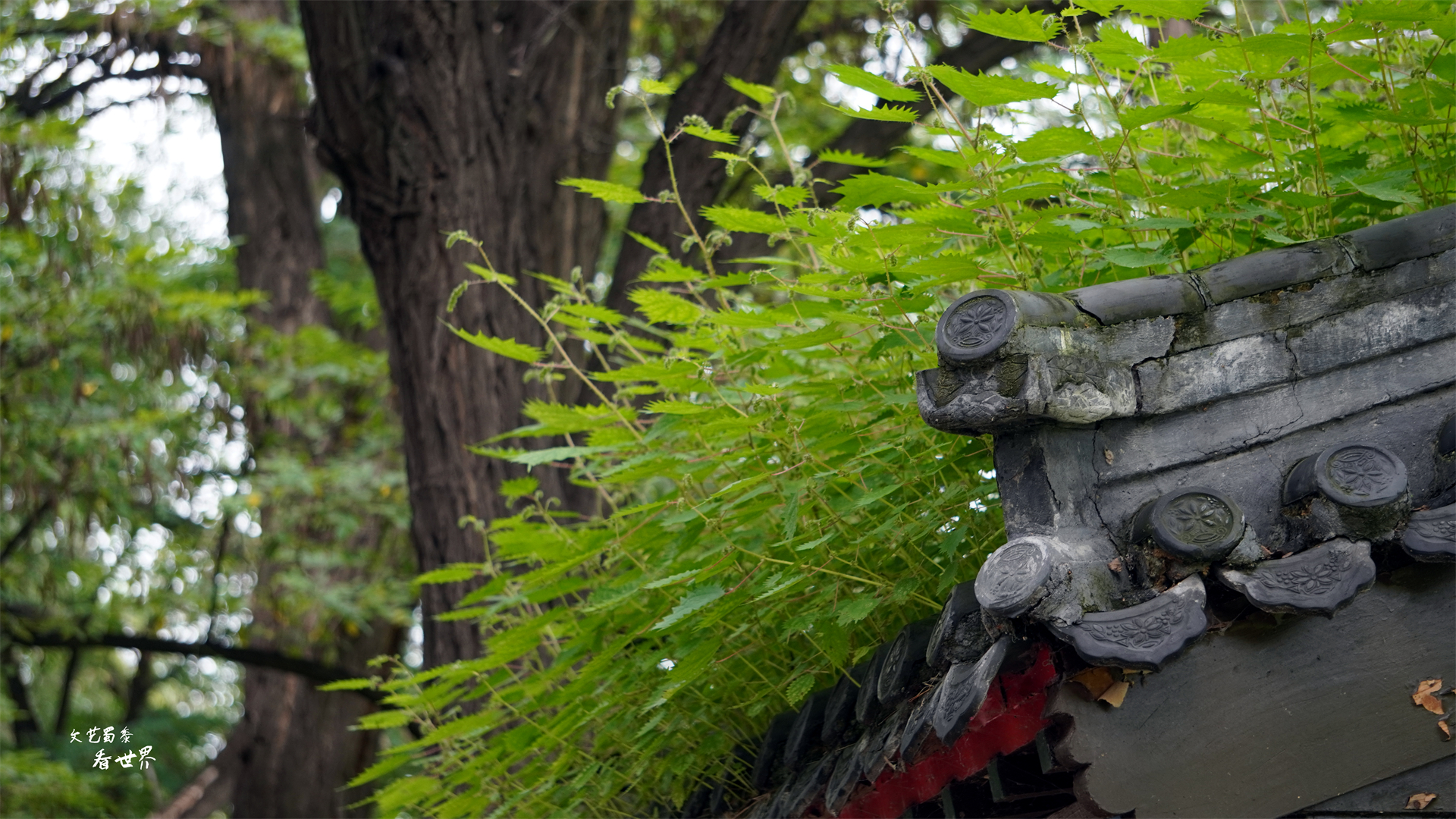 夏天避暑的好地方承德避暑山庄,乾隆避暑山庄很凉快吗