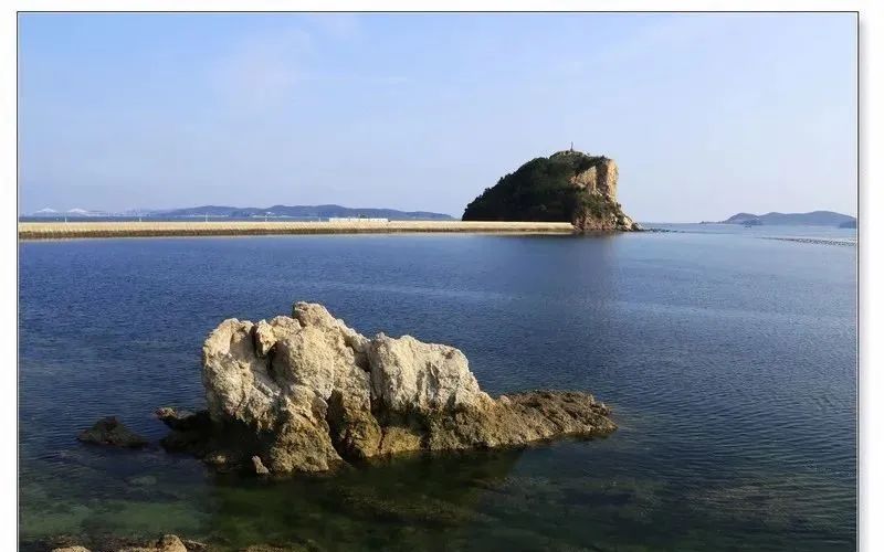 海参便宜和贵的有区别吗,红海参为什么有贵有便宜