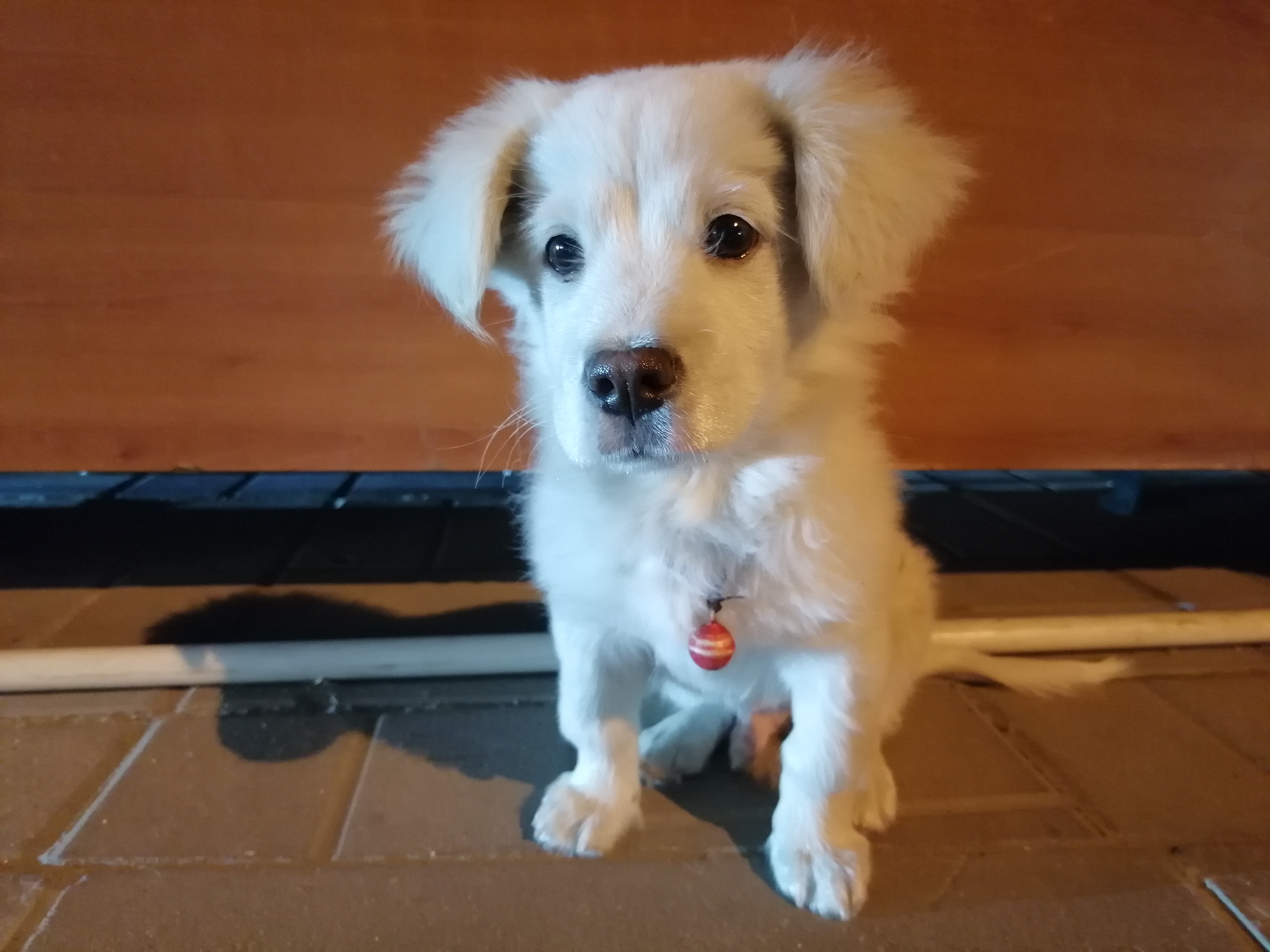 华为nova10z评测：快充/磨砂/高像素“低价高配”的诚意之作