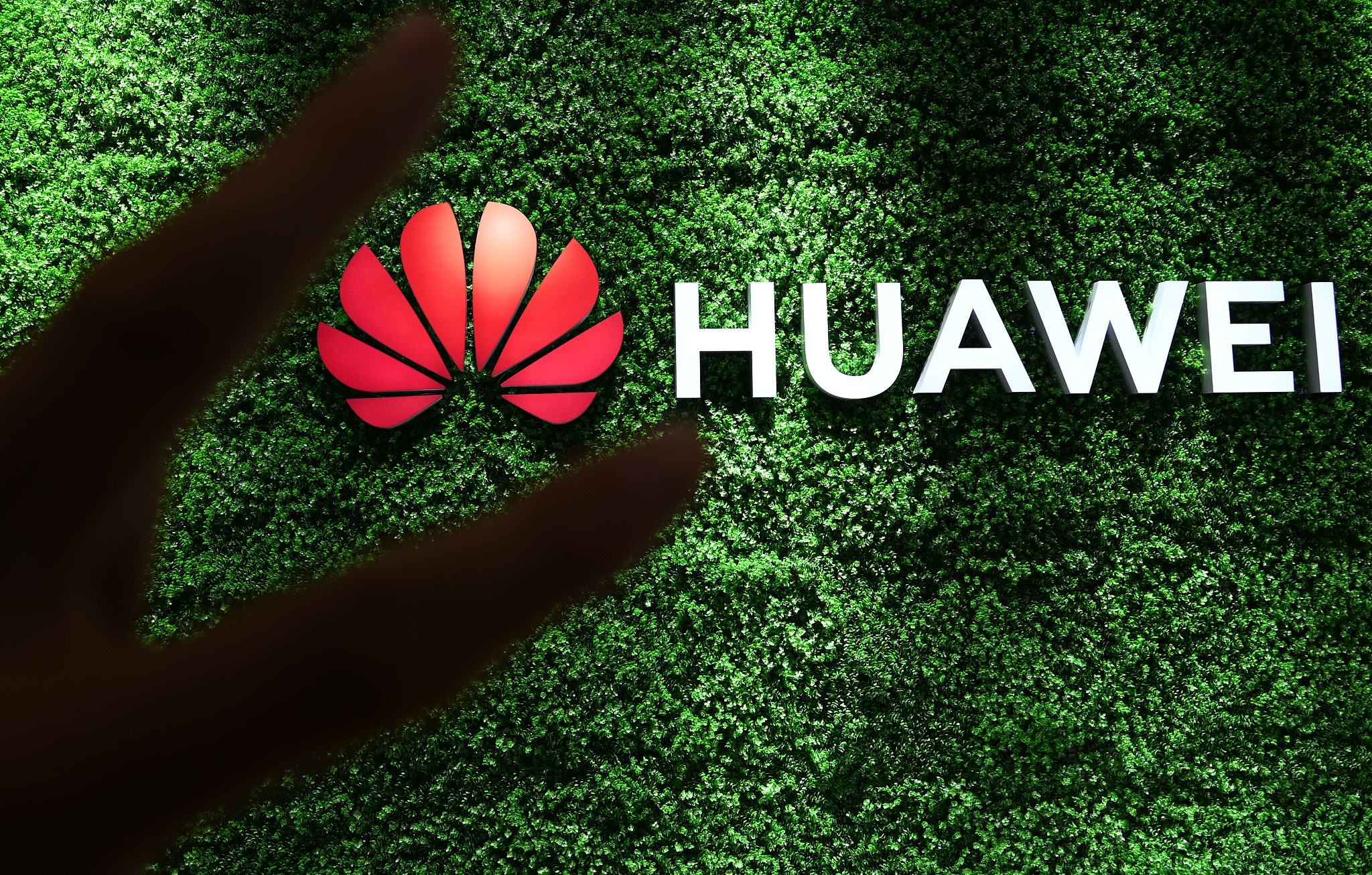 美国阿联酋f35,阿联酋为什么不买美国的f35