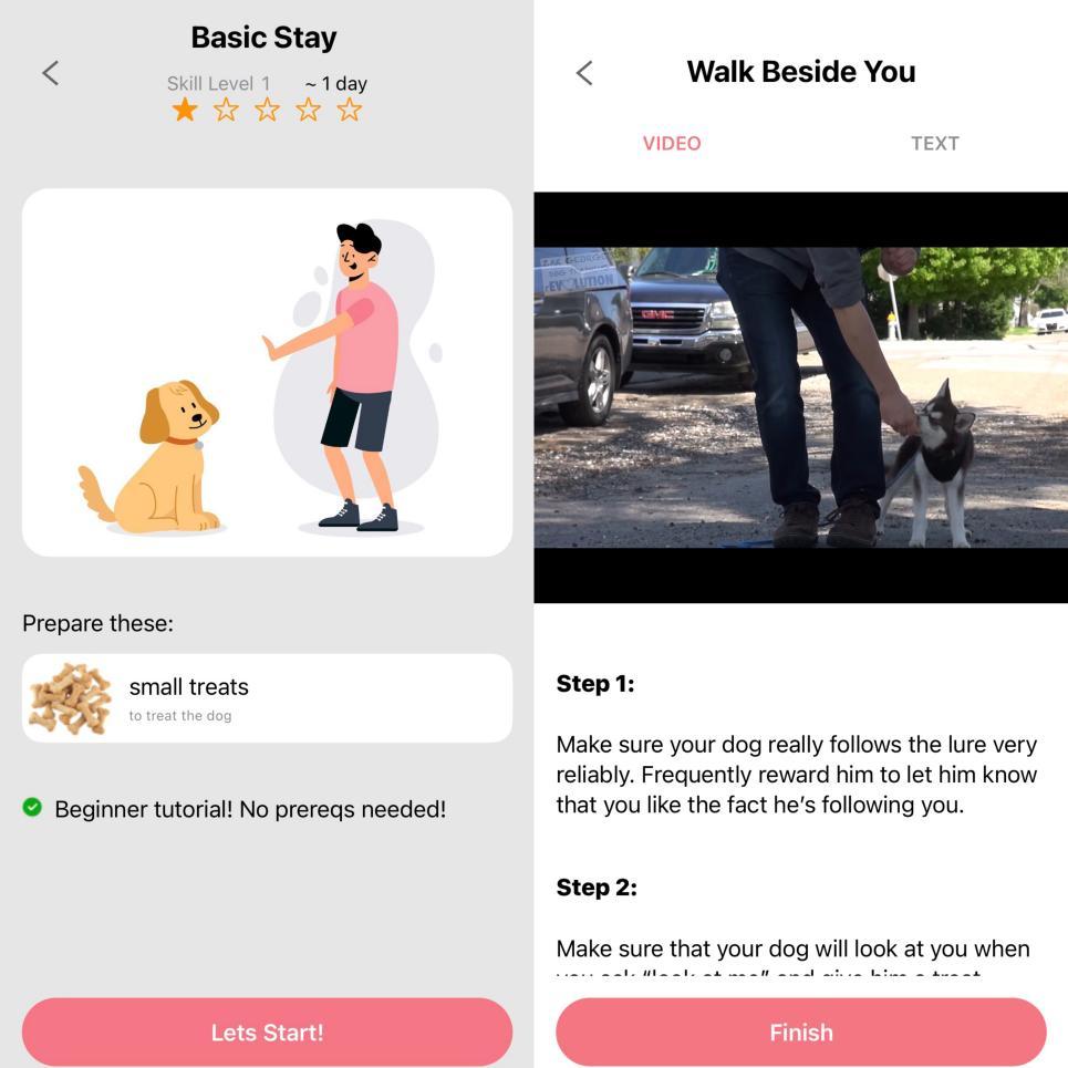 观望3年、准备7个月，我在湾区做了一个宠训App|对话创始人