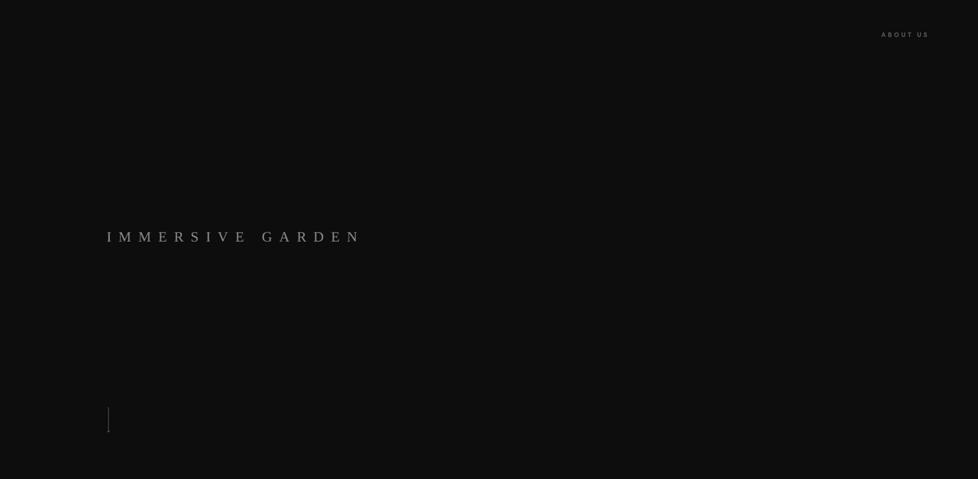 乐清网站建设公司,十大网站建设公司