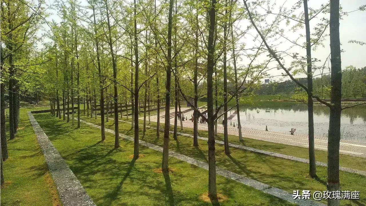 咸阳最好的公园在哪里,咸阳龙湖彩虹郦城规划有公园吗