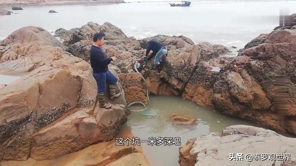 烟台赶海人一晚捞千余斤海肠吃,男子通宵赶海捡80斤海肠