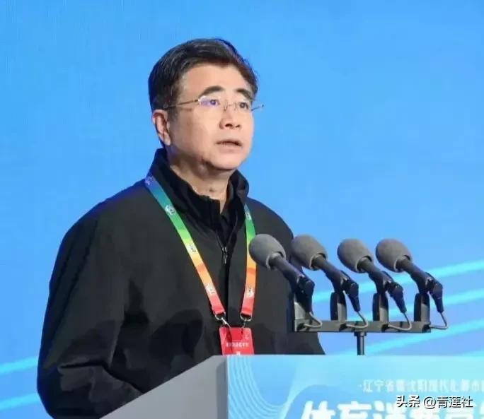 宋凯将调任中国足协担任领导，大学时学习的是足球专业，支持他