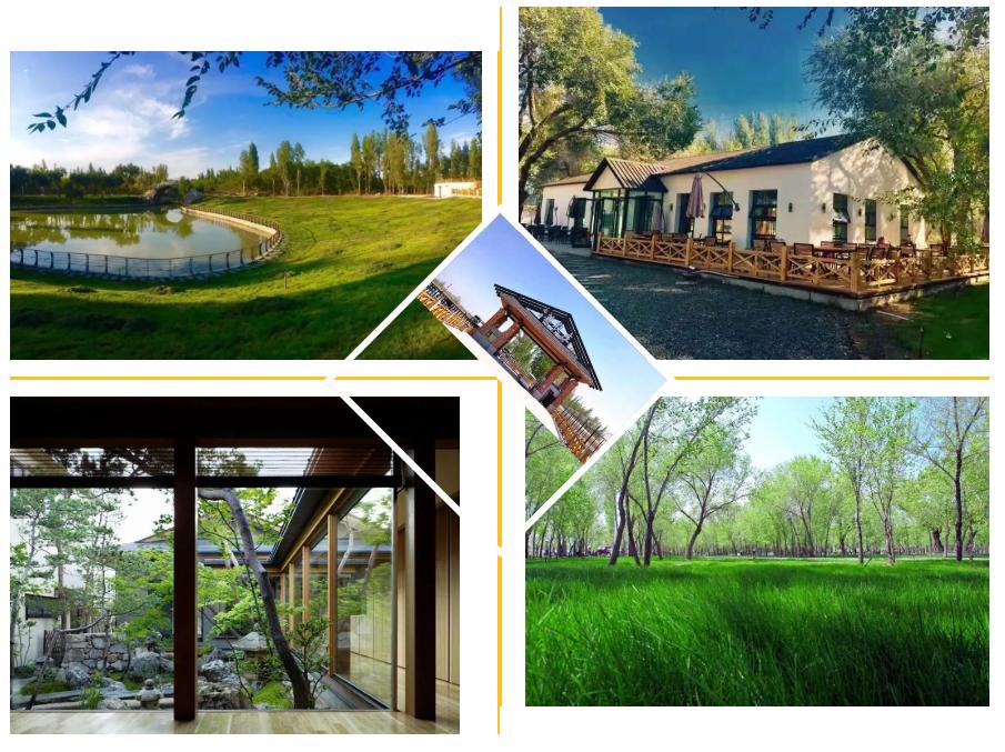 *疆新**多姿多彩的民宿，总有一款适合你！