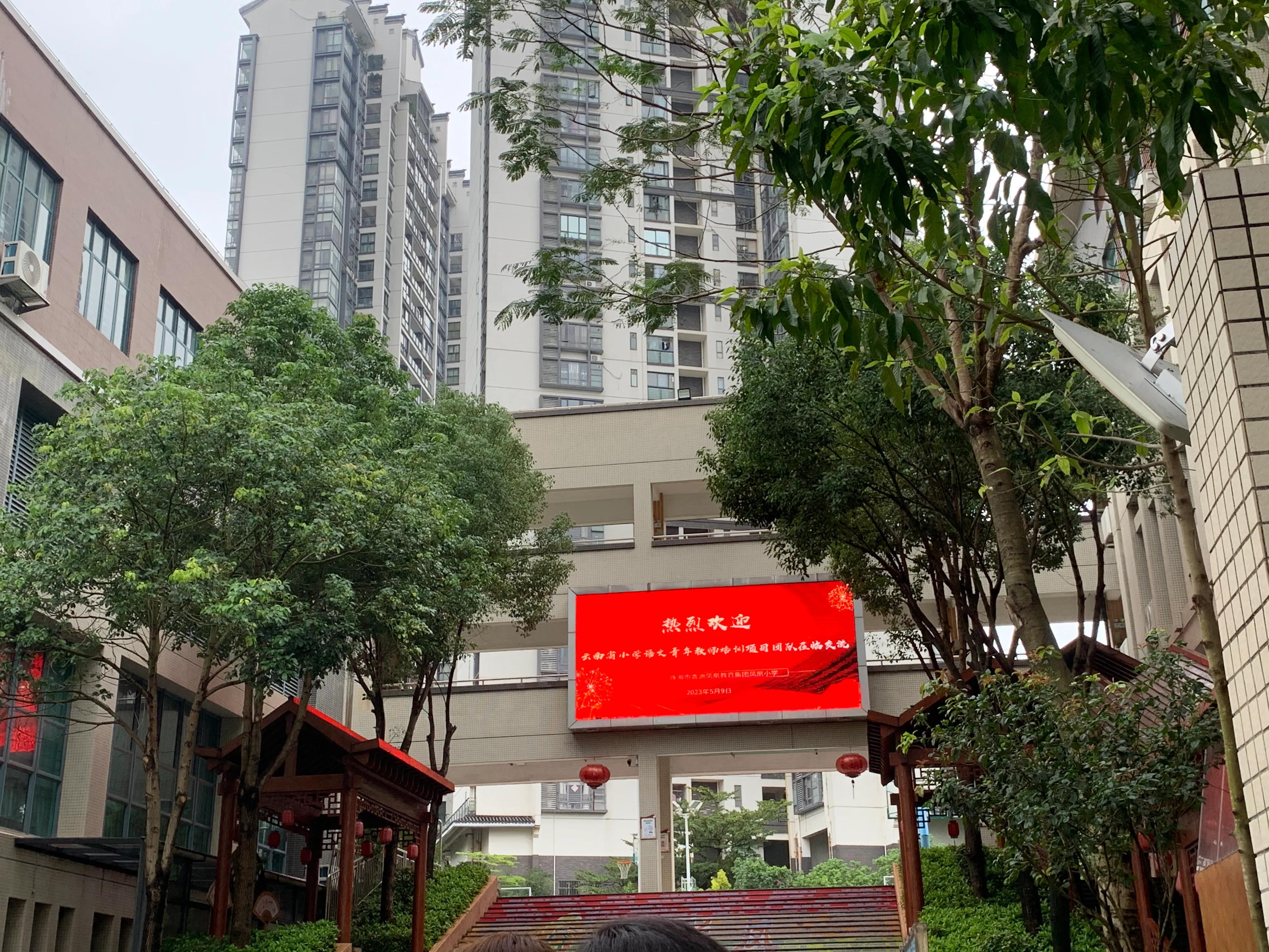 美丽的凤凰小学,林中凤凰小学