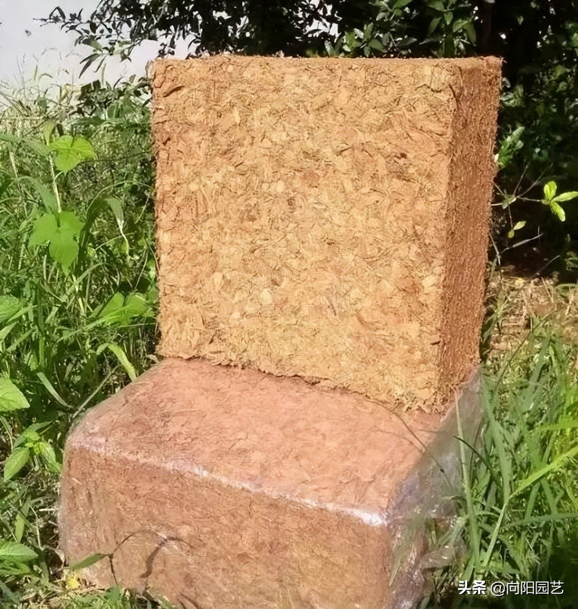 椰糠贵吗,椰糠土价格