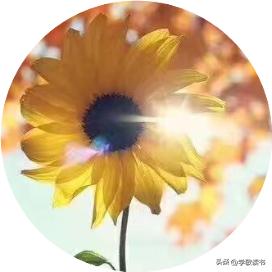 在小贷公司工作风险,银行小微贷中心职能