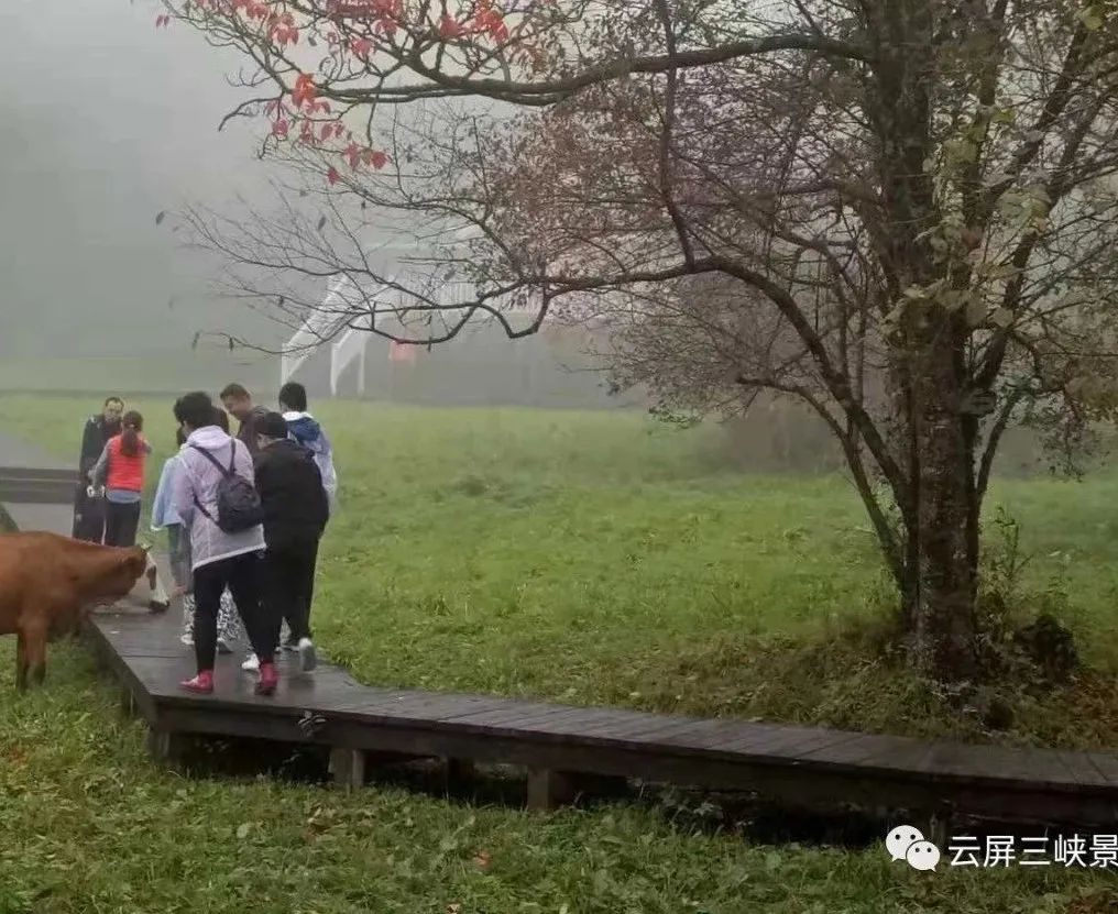 云屏三峡游玩攻略,云屏三峡3月份景色