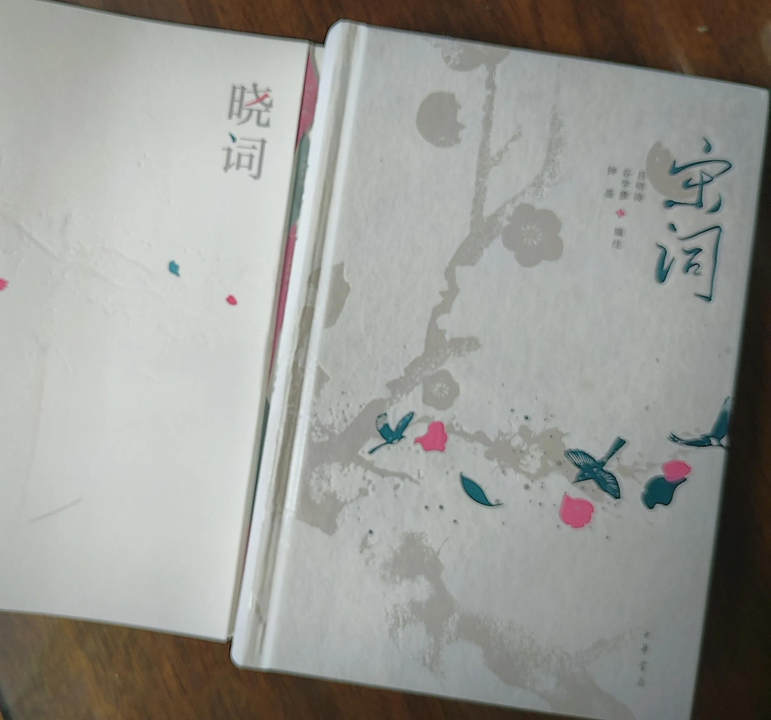 你上学的时候最惊艳的古诗词,绝美到惊艳的古诗词书籍推荐