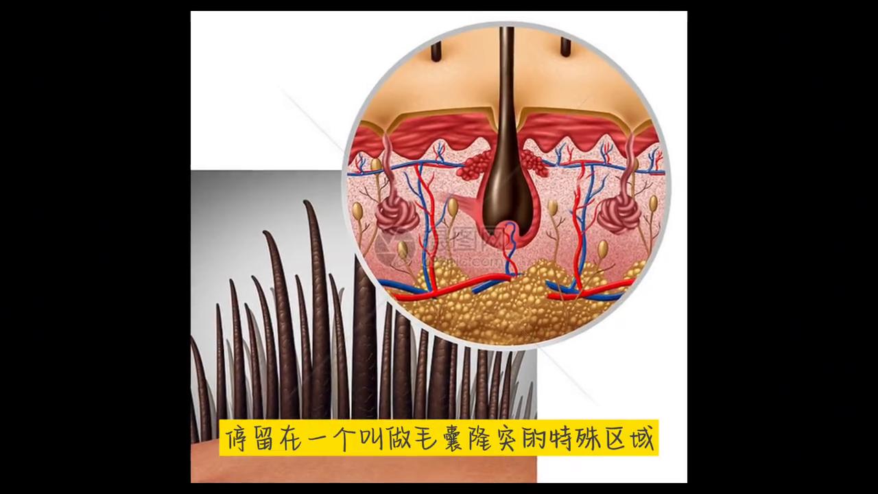 不惑大叔的作品,不惑大叔的励志视频