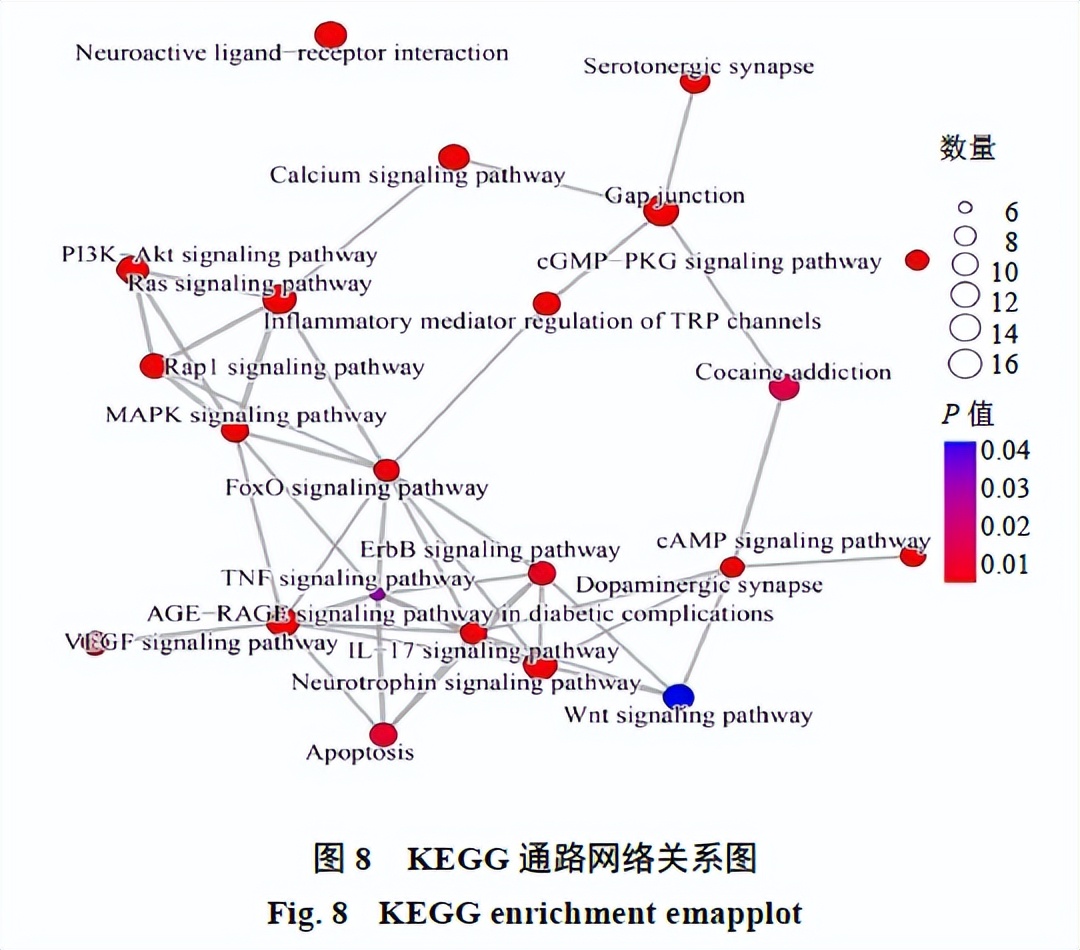 黄芪甲苷是什么,神奇的黄芪甲苷