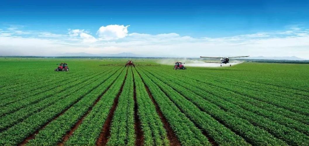 美国近期和中国的最新消息,美国有进行粮食制裁吗